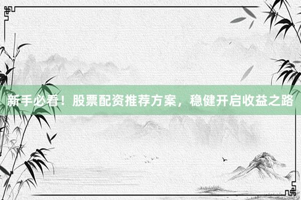 新手必看！股票配资推荐方案，稳健开启收益之路