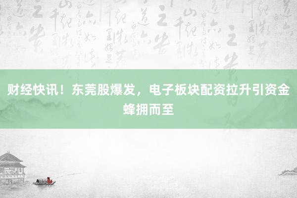 财经快讯！东莞股爆发，电子板块配资拉升引资金蜂拥而至
