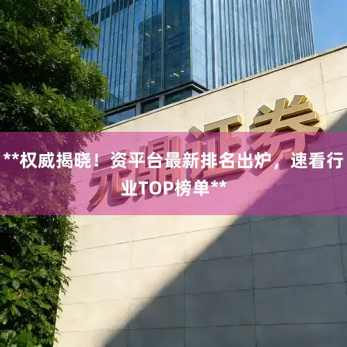 **权威揭晓！资平台最新排名出炉，速看行业TOP榜单**