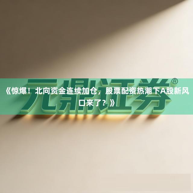 《惊爆！北向资金连续加仓，股票配资热潮下A股新风口来了？》