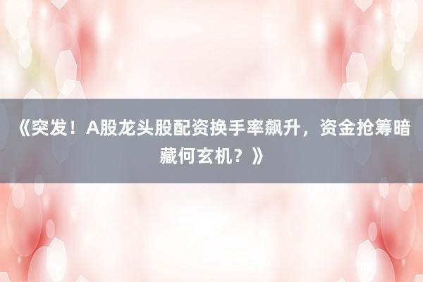 《突发！A股龙头股配资换手率飙升，资金抢筹暗藏何玄机？》