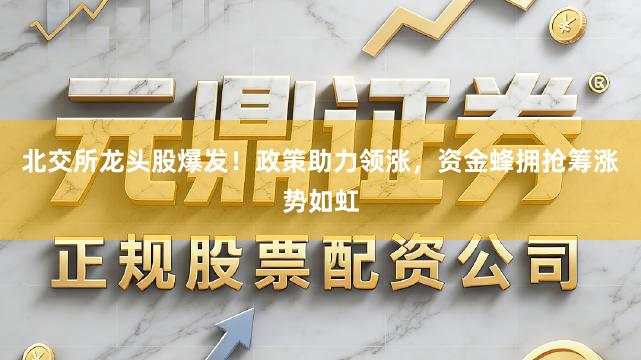 北交所龙头股爆发！政策助力领涨，资金蜂拥抢筹涨势如虹