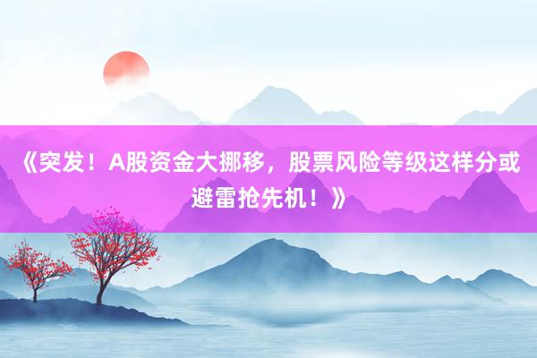 《突发！A股资金大挪移，股票风险等级这样分或避雷抢先机！》