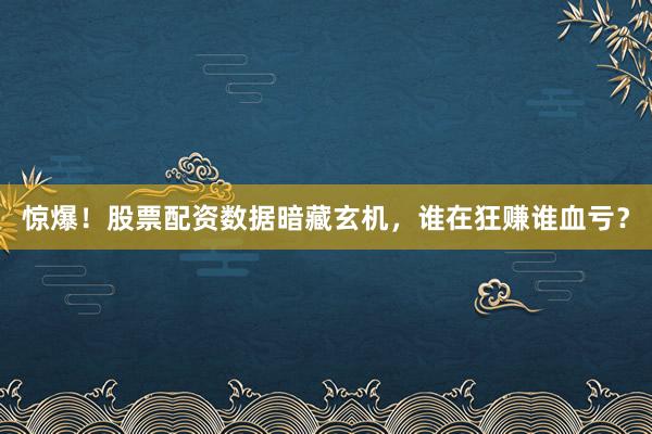惊爆！股票配资数据暗藏玄机，谁在狂赚谁血亏？