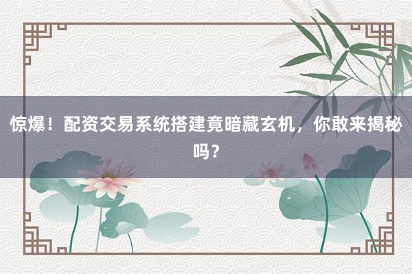 惊爆！配资交易系统搭建竟暗藏玄机，你敢来揭秘吗？