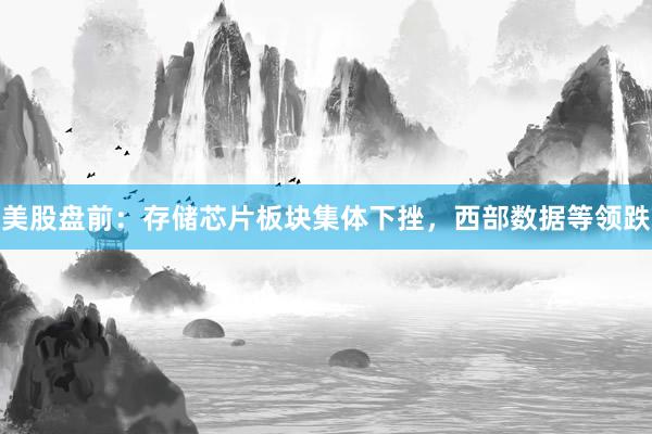 美股盘前：存储芯片板块集体下挫，西部数据等领跌
