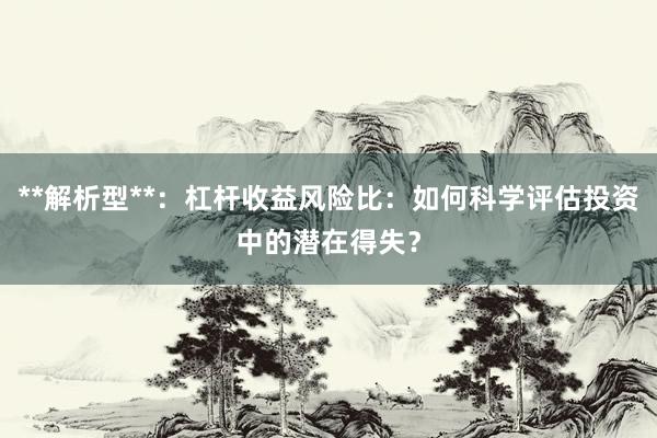 **解析型**：杠杆收益风险比：如何科学评估投资中的潜在得失？