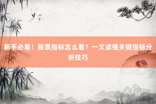 新手必看！股票指标怎么看？一文读懂关键指标分析技巧