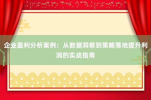 企业盈利分析案例:从数据洞察到策略落地提升利润的实战指南