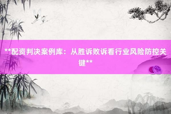 **配资判决案例库：从胜诉败诉看行业风险防控关键**