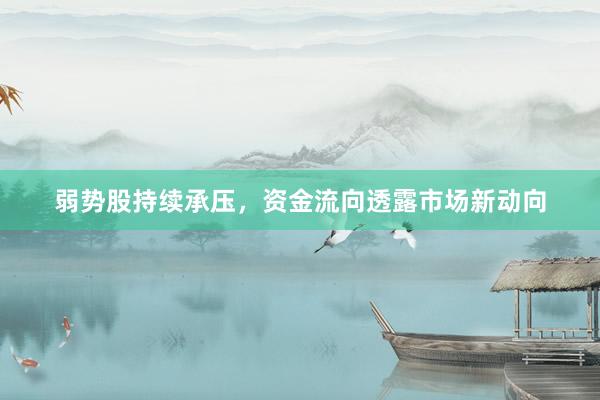 弱势股持续承压，资金流向透露市场新动向