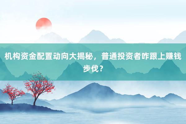 机构资金配置动向大揭秘，普通投资者咋跟上赚钱步伐？
