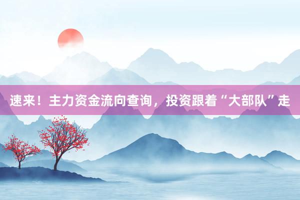 速来！主力资金流向查询，投资跟着“大部队”走