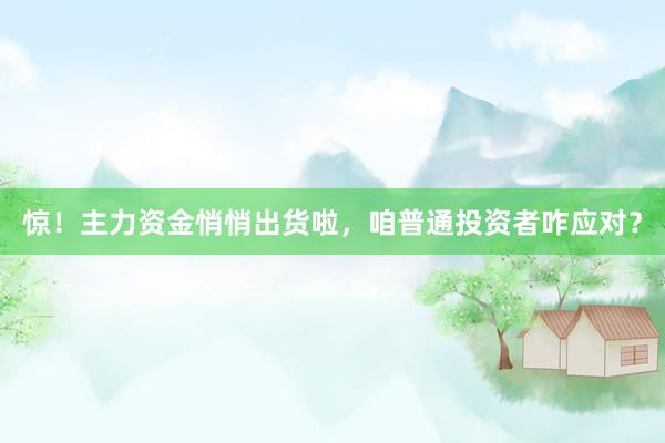 惊！主力资金悄悄出货啦，咱普通投资者咋应对？