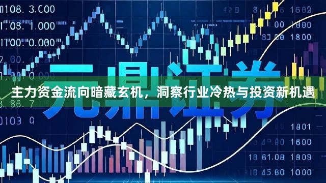 主力资金流向暗藏玄机，洞察行业冷热与投资新机遇