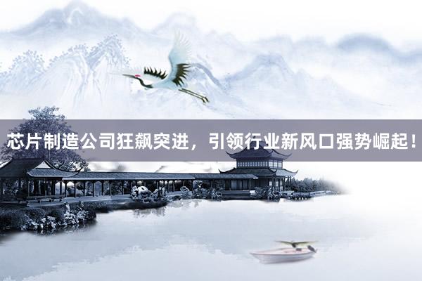 芯片制造公司狂飙突进，引领行业新风口强势崛起！