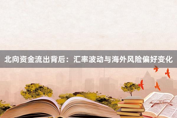 北向资金流出背后：汇率波动与海外风险偏好变化