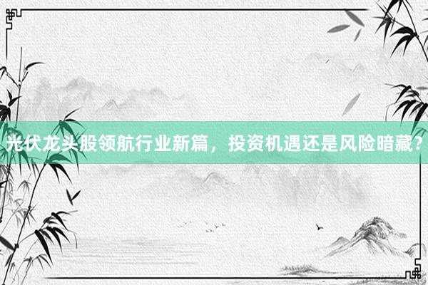 光伏龙头股领航行业新篇，投资机遇还是风险暗藏？
