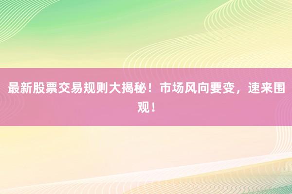 最新股票交易规则大揭秘！市场风向要变，速来围观！