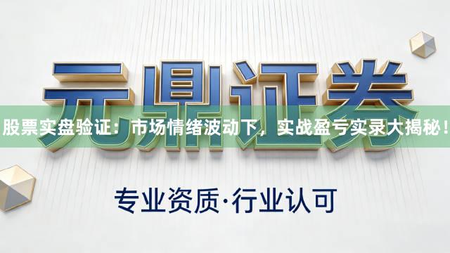 股票实盘验证：市场情绪波动下，实战盈亏实录大揭秘！