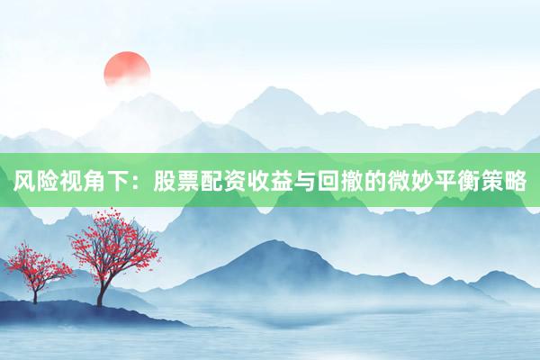 风险视角下：股票配资收益与回撤的微妙平衡策略